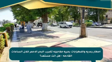 أمطار رعدية واضطرابات بحرية مفاجئة تضرب البحر الأحمر خلال الساعات القادمة – هل أنت مستعد؟